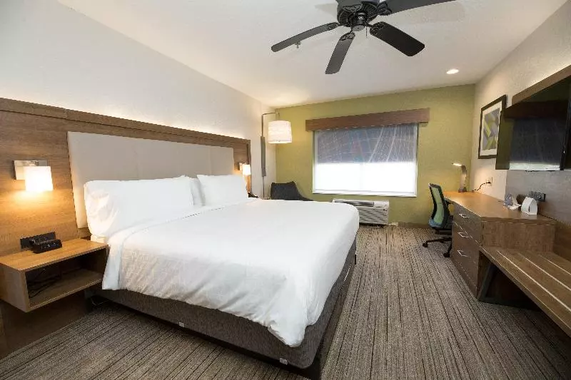 キングサイズベッドのスタンダードルーム, Holiday Inn Express Hotel & Suites Clinton, An Ihg