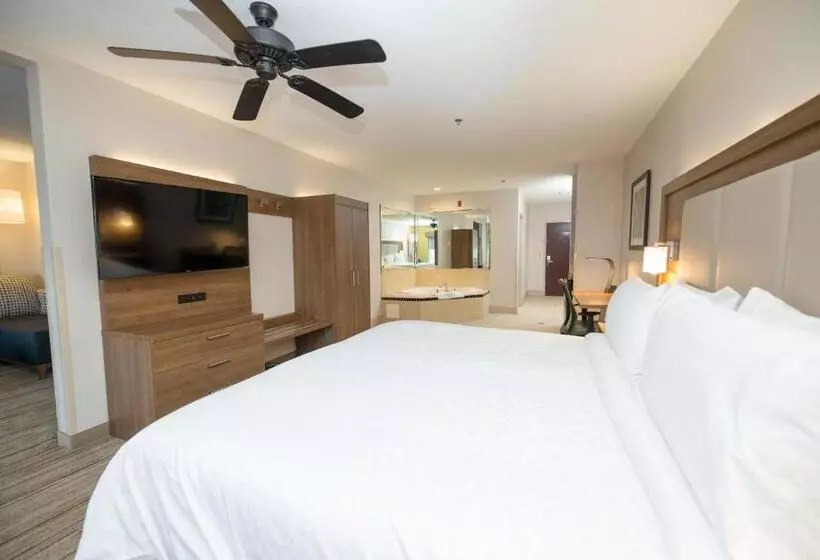 キングサイズベッドのスイートルーム, Holiday Inn Express Hotel & Suites Clinton, An Ihg