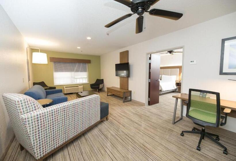 Люкс Кровать Кинг, Holiday Inn Express Hotel & Suites Clinton, An Ihg