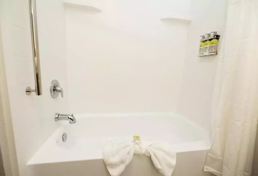キングサイズベッドのエクゼクティブルーム, Holiday Inn Express Hotel & Suites Clinton, An Ihg