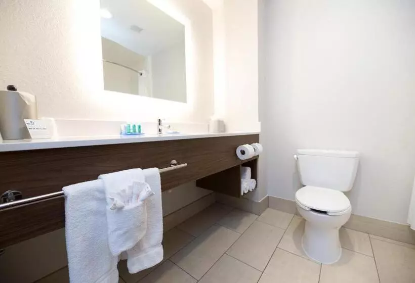 キングサイズベッドのエクゼクティブルーム, Holiday Inn Express Hotel & Suites Clinton, An Ihg