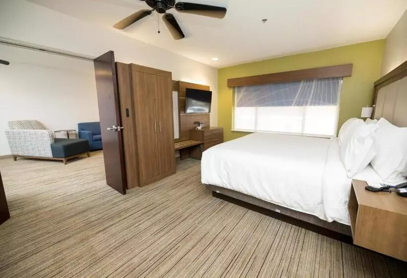 キングサイズベッドのエクゼクティブルーム, Holiday Inn Express Hotel & Suites Clinton, An Ihg
