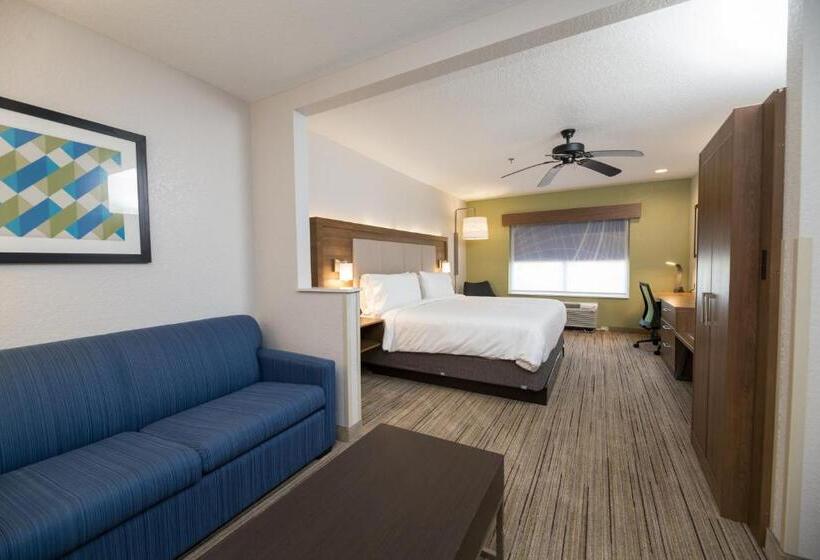 غرفة إدارية سرير كينج, Holiday Inn Express Hotel & Suites Clinton, An Ihg