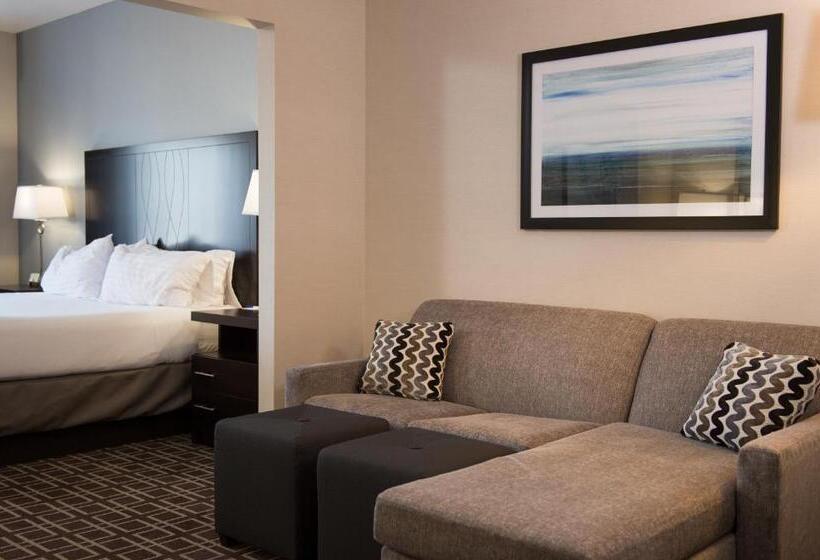 Номер Executive Кровать Кинг, Holiday Inn Express Le Claire Riverfront Davenport, An Ihg