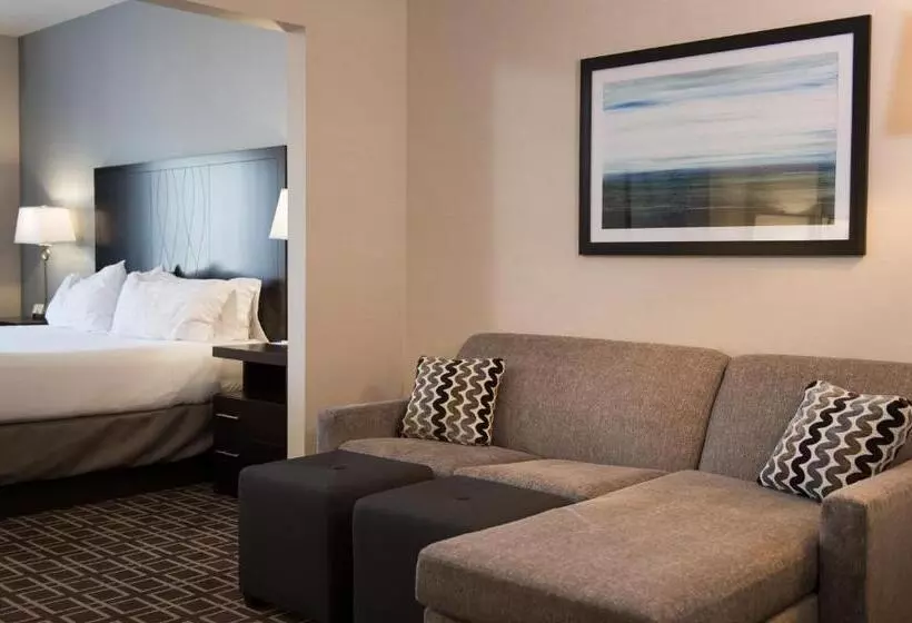 キングサイズベッドのエクゼクティブルーム, Holiday Inn Express Le Claire Riverfront Davenport, An Ihg