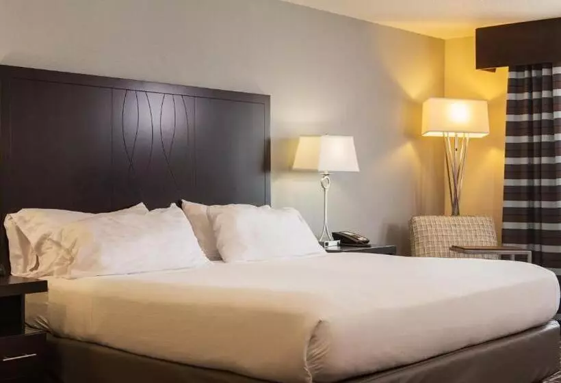 キングサイズベッドのスタンダードルーム, Holiday Inn Express Le Claire Riverfront Davenport, An Ihg