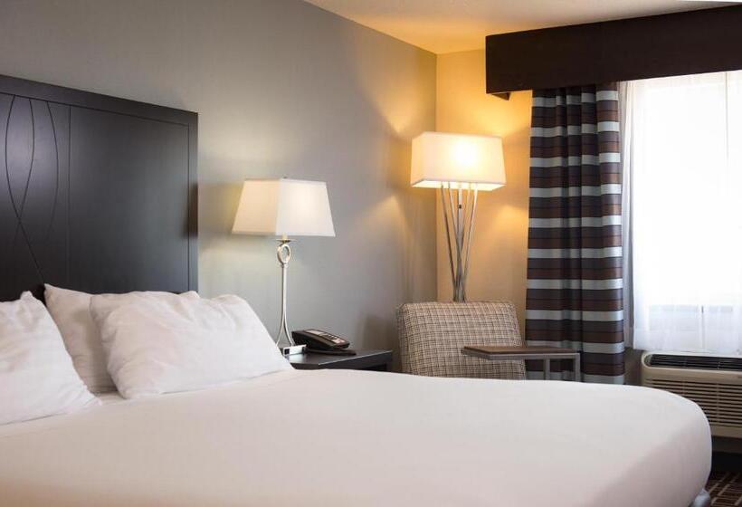 스탠다드 룸 킹사이즈 침대, Holiday Inn Express Le Claire Riverfront Davenport, An Ihg