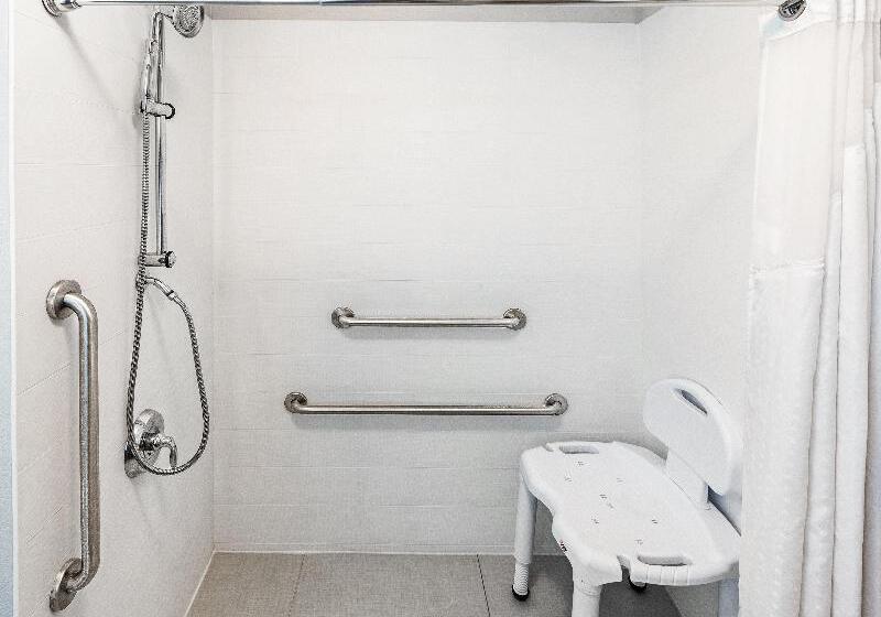 اتاق استاندارد با تخت بزرگ برای معلولان, Holiday Inn Express & Suites Baton Rouge East, An Ihg