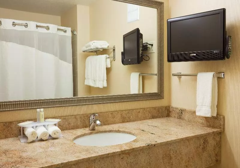 キングサイズベッドのエクゼクティブルーム, Holiday Inn Express Winona, An Ihg