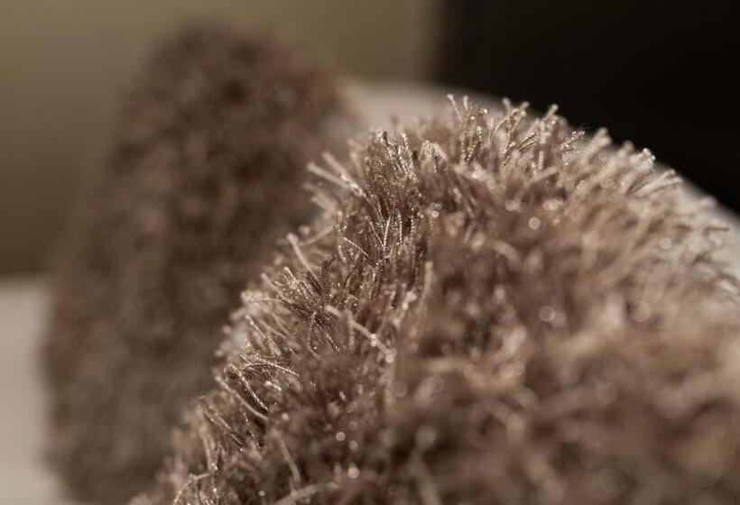 חדר דלוקס, Jerichos Boutique Accommodation