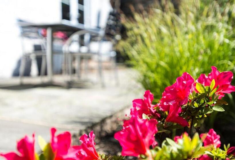 수피리어 스위트, Windermere Suites