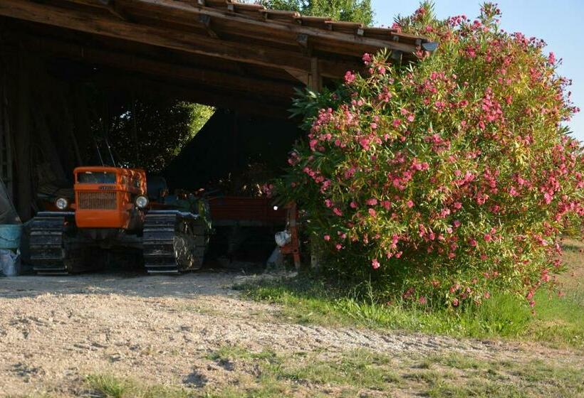 سوییت جونیور, Casale Fusco