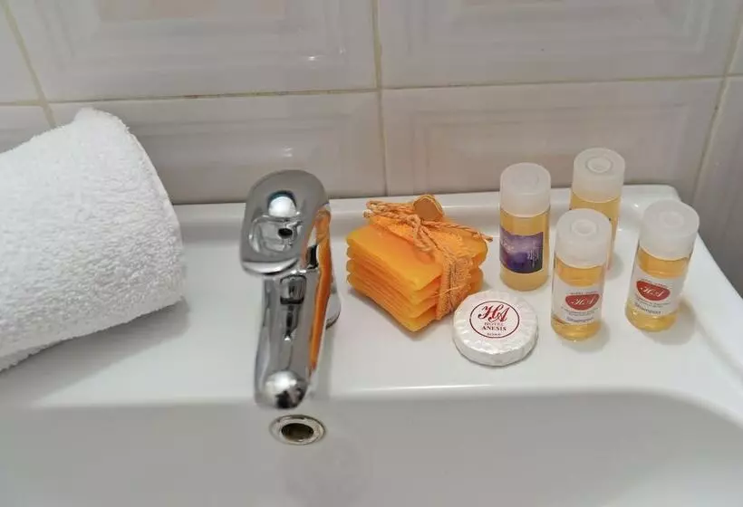 اتاق استاندارد, Anesis