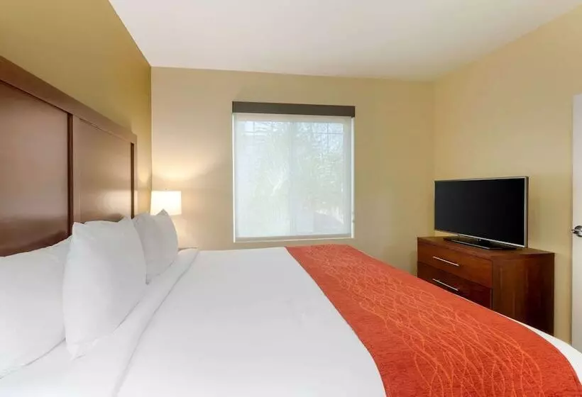 スイート, Comfort Inn & Suites Near Ontario Airport
