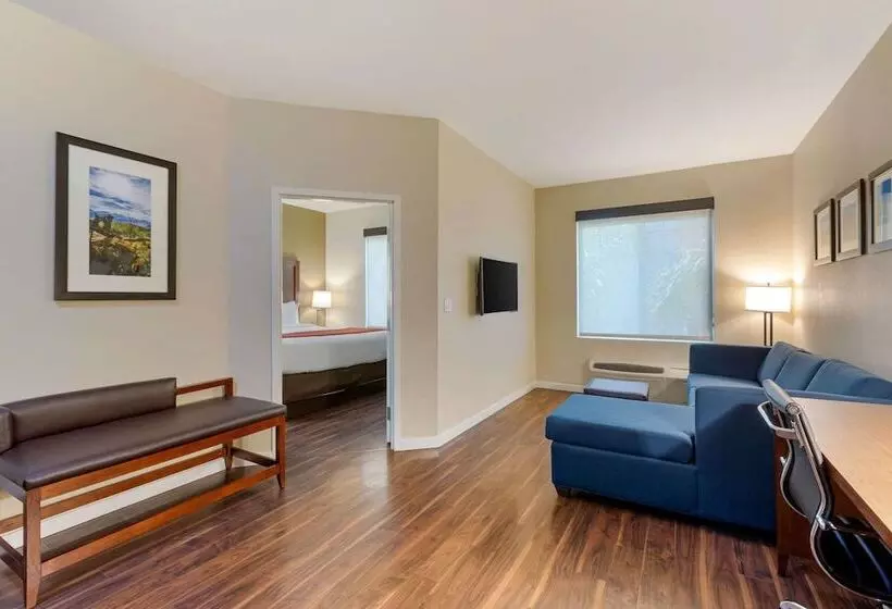 スイート, Comfort Inn & Suites Near Ontario Airport