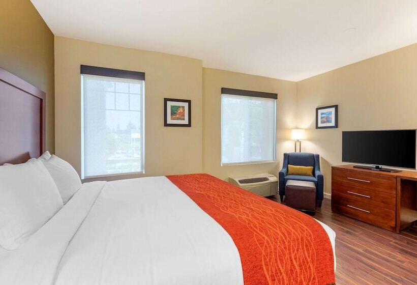 جناح, Comfort Inn & Suites Near Ontario Airport