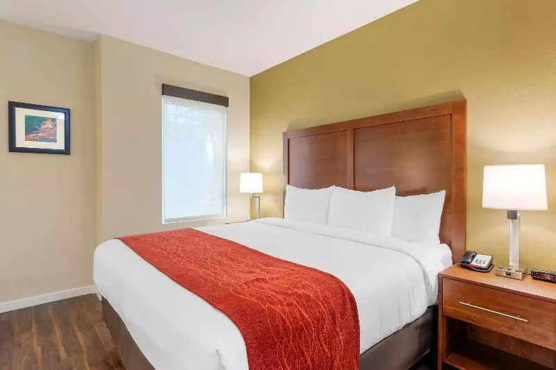 キングサイズベッドのスタンダードルーム, Comfort Inn & Suites Near Ontario Airport
