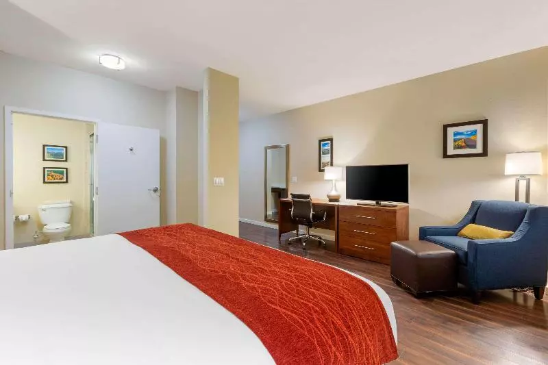 キングサイズベッドのスタンダードルーム, Comfort Inn & Suites Near Ontario Airport