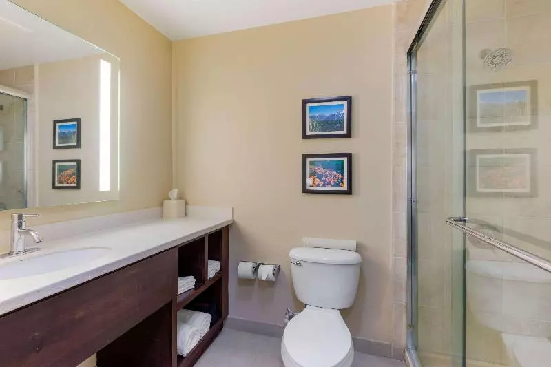 キングサイズベッドのスタンダードルーム, Comfort Inn & Suites Near Ontario Airport