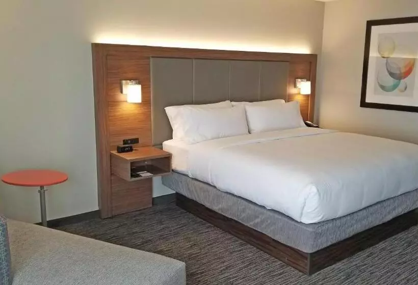 キングサイズベッドのスタンダードルーム, Holiday Inn Express Hotel & Suites Columbus, An Ihg