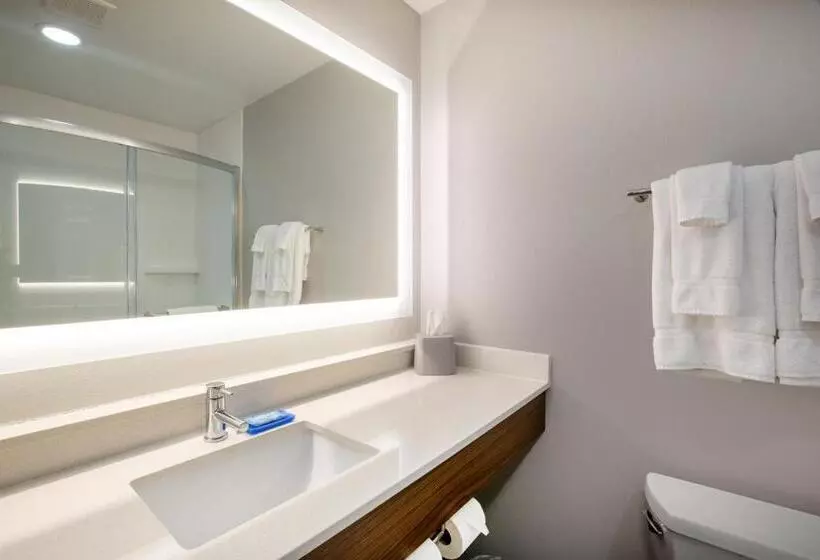 キングサイズベッドのスタンダードルーム, Holiday Inn Express Hotel & Suites Columbus, An Ihg