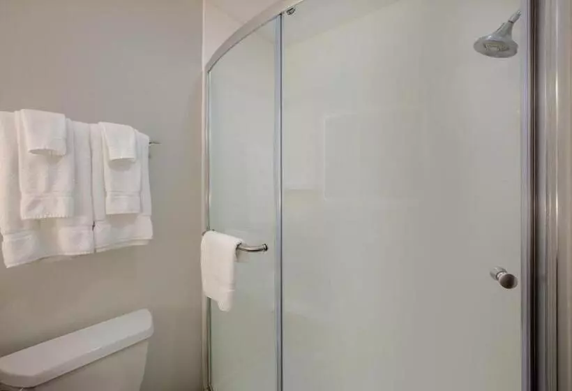 キングサイズベッドのスタンダードルーム, Holiday Inn Express Hotel & Suites Columbus, An Ihg