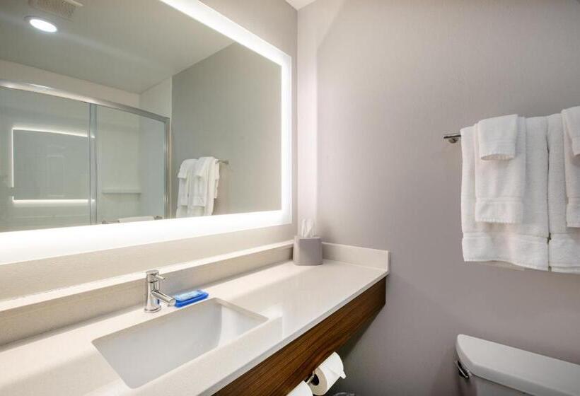 带大床的套房, Holiday Inn Express Hotel & Suites Columbus, An Ihg