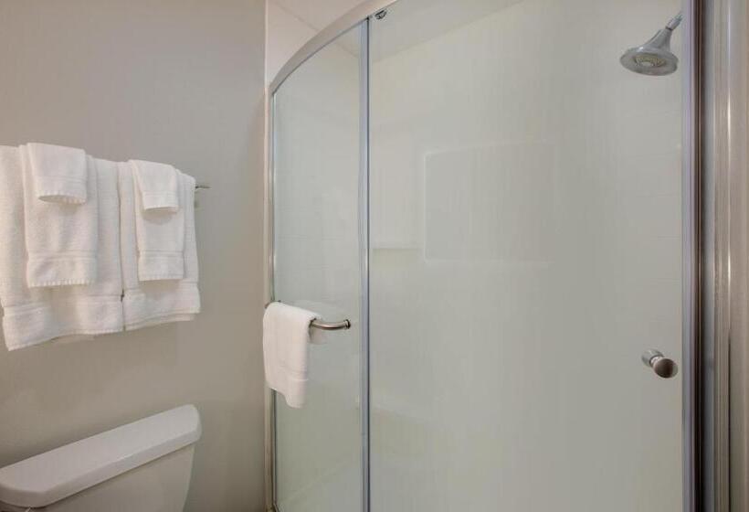 适合残疾人士使用的带超级大床的标准间, Holiday Inn Express Hotel & Suites Columbus, An Ihg