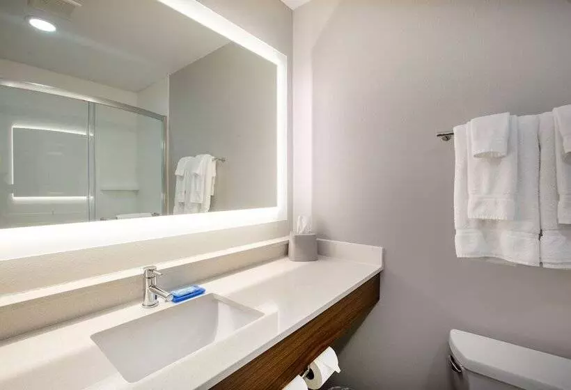 スイート, Holiday Inn Express Hotel & Suites Columbus, An Ihg