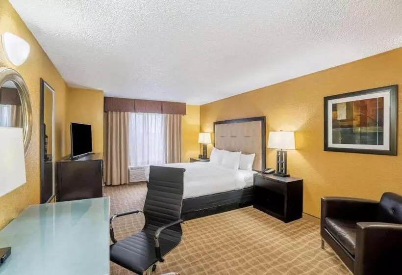 اتاق استاندارد با تخت بزرگ, La Quinta Inn & Suites By Wyndham Hot Springs