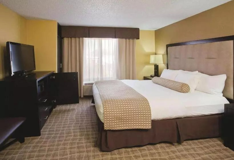اتاق استاندارد با تخت بزرگ, La Quinta Inn & Suites By Wyndham Hot Springs