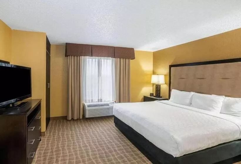 اتاق استاندارد با تخت بزرگ, La Quinta Inn & Suites By Wyndham Hot Springs