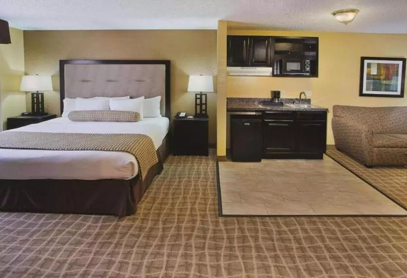 اتاق استاندارد با تخت بزرگ, La Quinta Inn & Suites By Wyndham Hot Springs