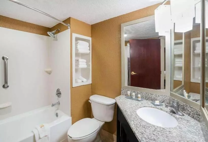 اتاق استاندارد با تخت بزرگ برای معلولان, La Quinta Inn & Suites By Wyndham Hot Springs