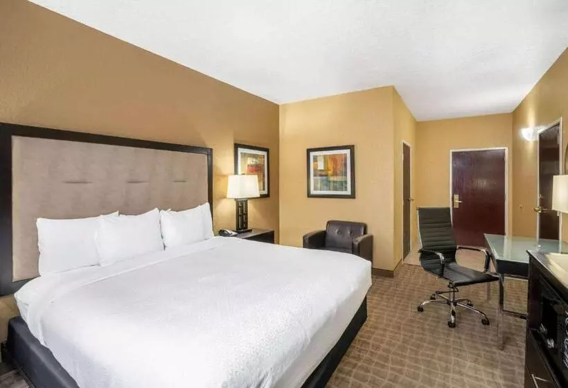 اتاق استاندارد با تخت بزرگ برای معلولان, La Quinta Inn & Suites By Wyndham Hot Springs