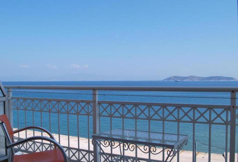 חדר בסיסי, Laios