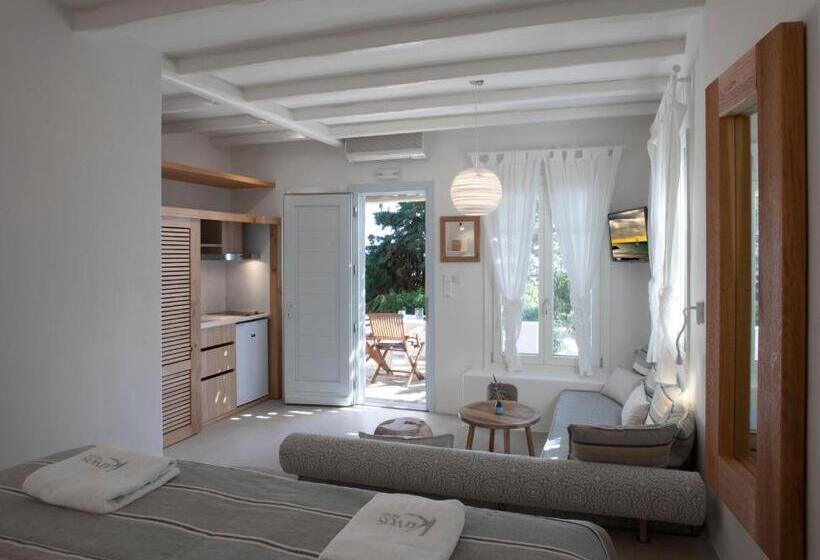 Студия Стандарт Вид на Море, Kavos Hotel Naxos