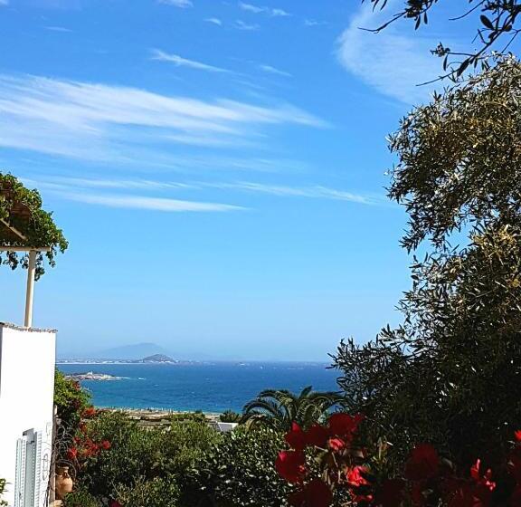 Вилла 1 Спальня Вид на Море, Kavos Hotel Naxos
