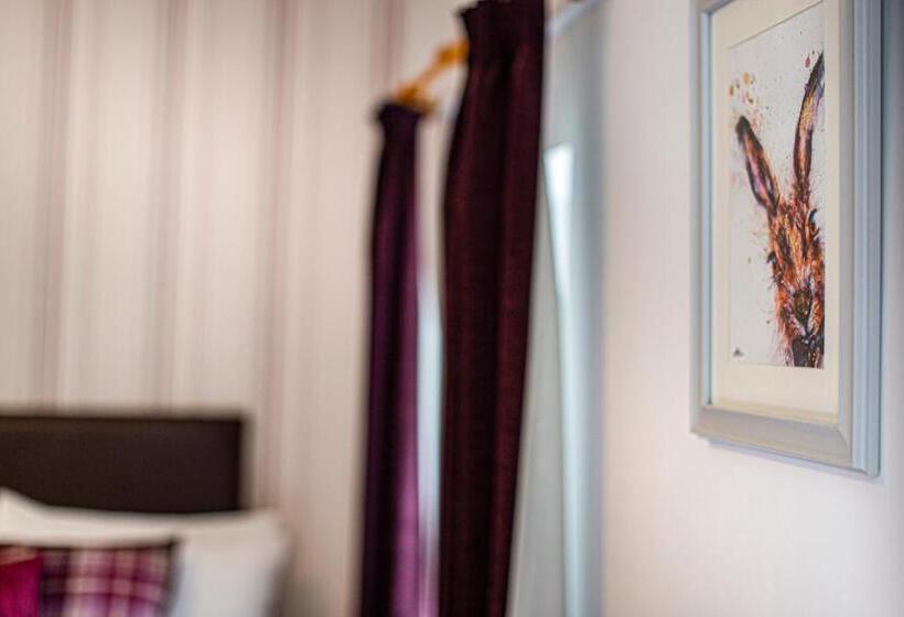 Одноместный Номер Basic, Afon View