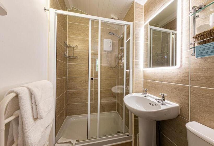 Номер Стандарт, Afon View