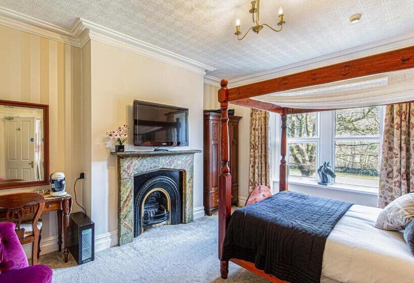 Номер Стандарт, Afon View