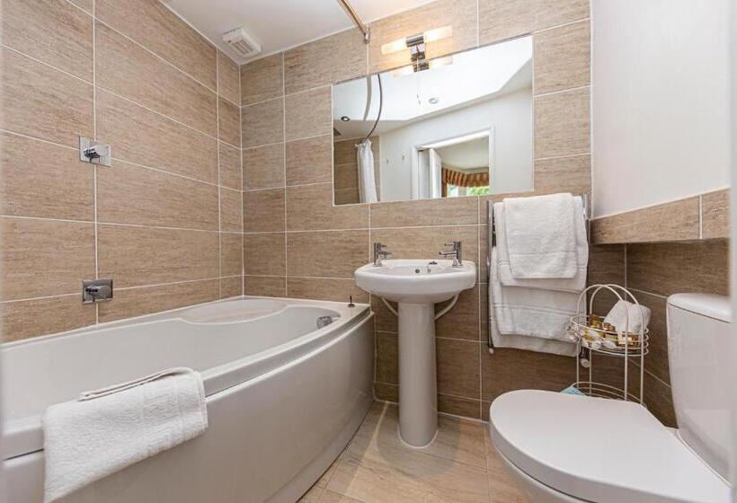 デラックスルーム, Afon View