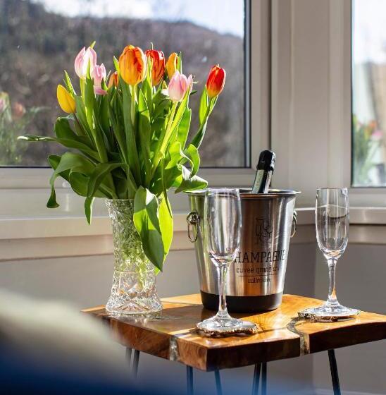 デラックスルーム, Afon View