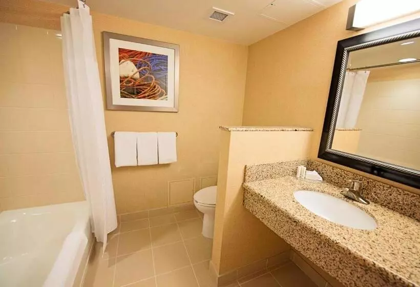 اتاق استاندارد با تخت بزرگ, Courtyard By Marriott Halifax Downtown