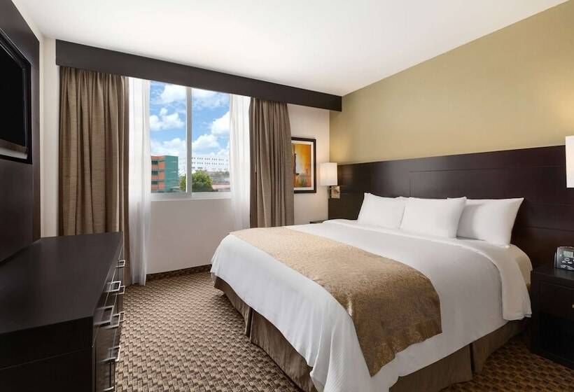 سوییت, Doubletree By Hilton Hotel Queretaro