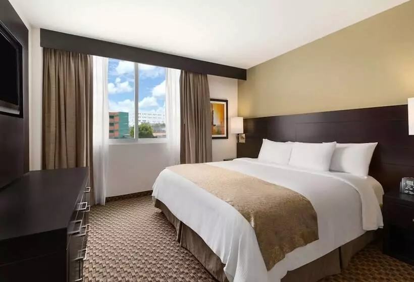 Sviitti, Doubletree By Hilton Hotel Queretaro