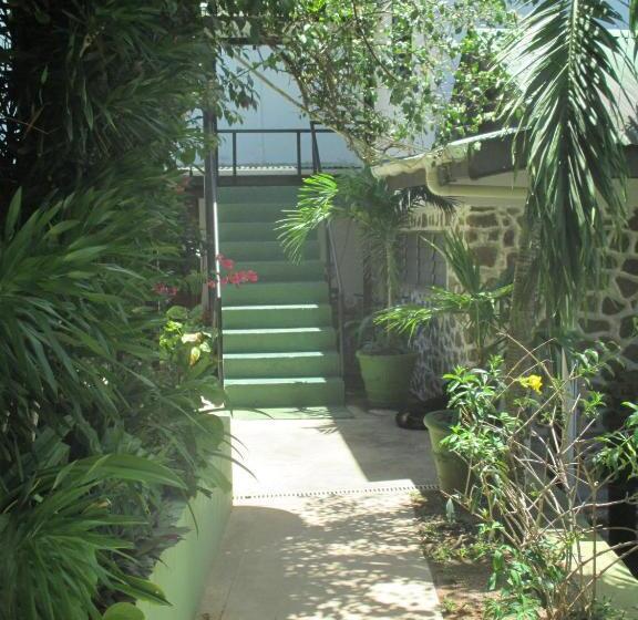 Superior Lejlighed 1 Soveværelse Havudsigt, Mango Lodge