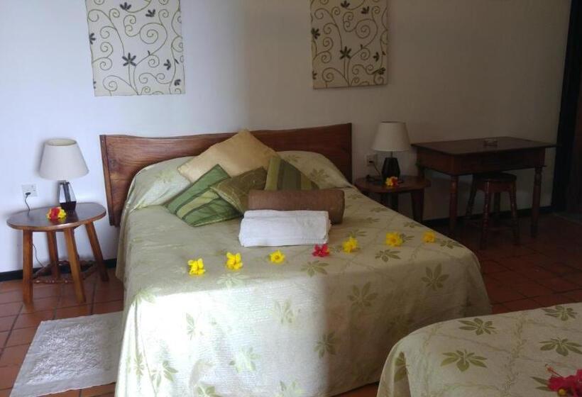 Standard Studio Havudsigt, Mango Lodge