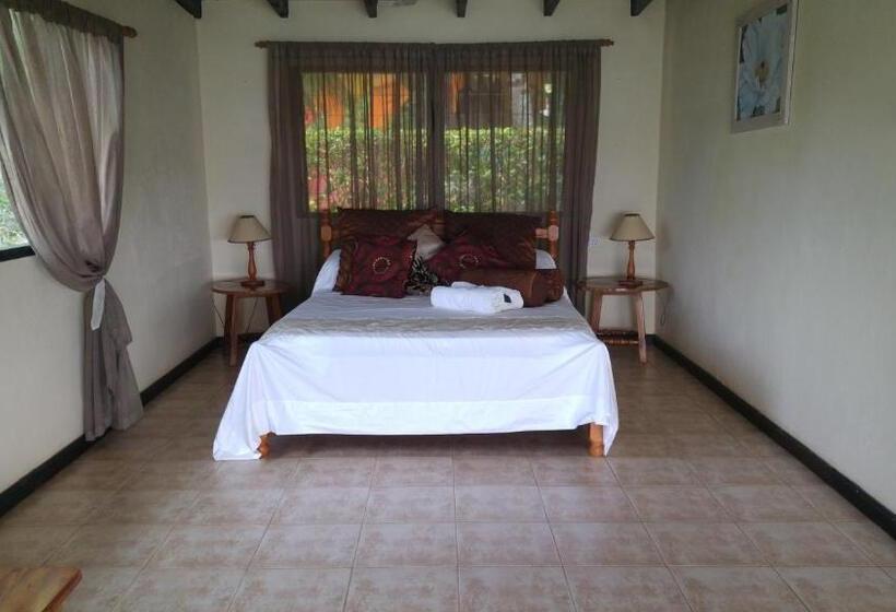 Superior Lejlighed 1 Soveværelse Havudsigt, Mango Lodge