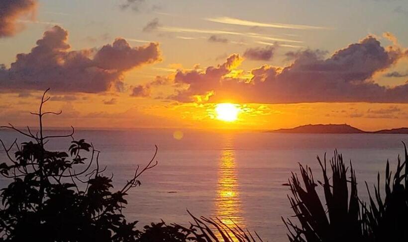 Standard Studio Havudsigt, Mango Lodge